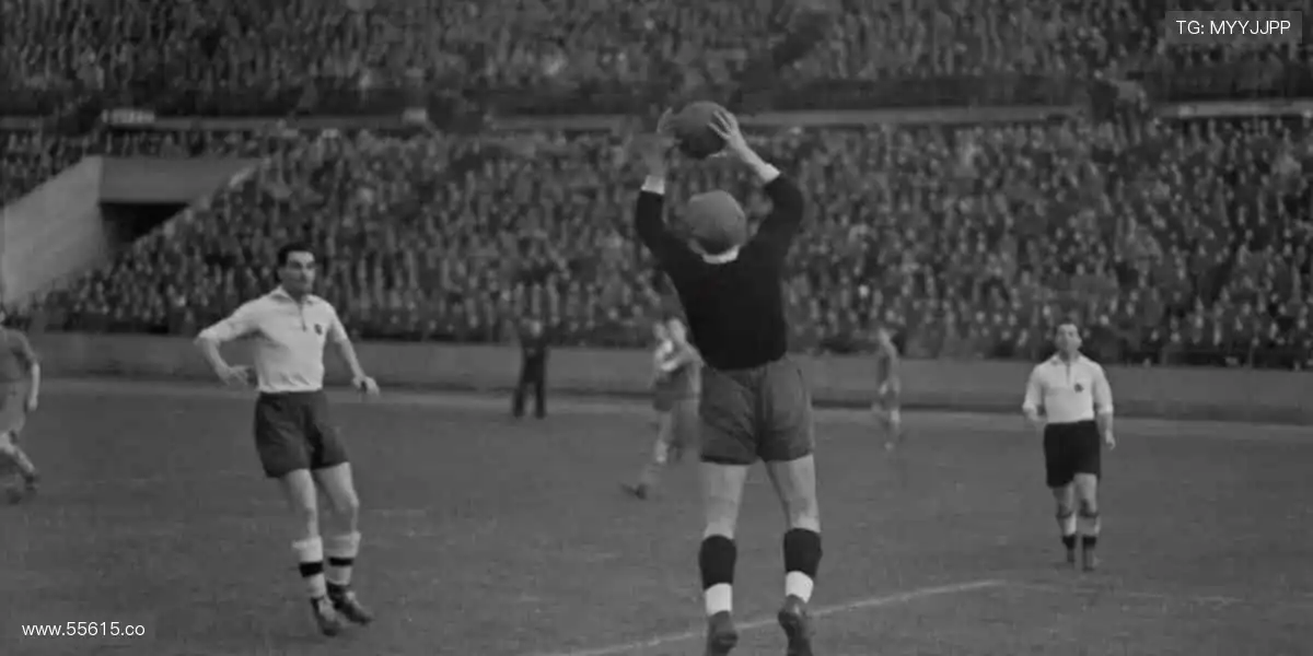 🎥多机位视角,沉浸式体验!让你比现场更懂精彩⚡️